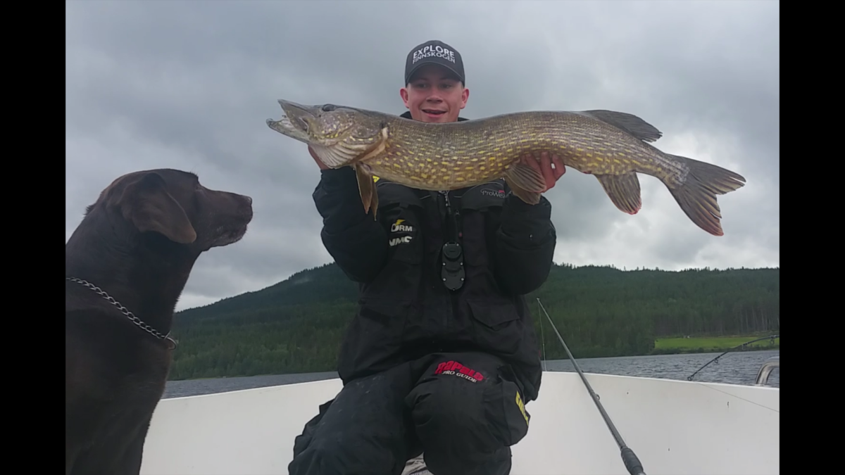 Rolf Magnus Grenberg med ny innmelding!