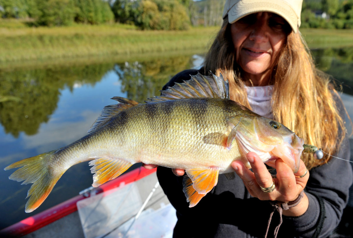 Kristin Roos Aas melder inn kilos borre!