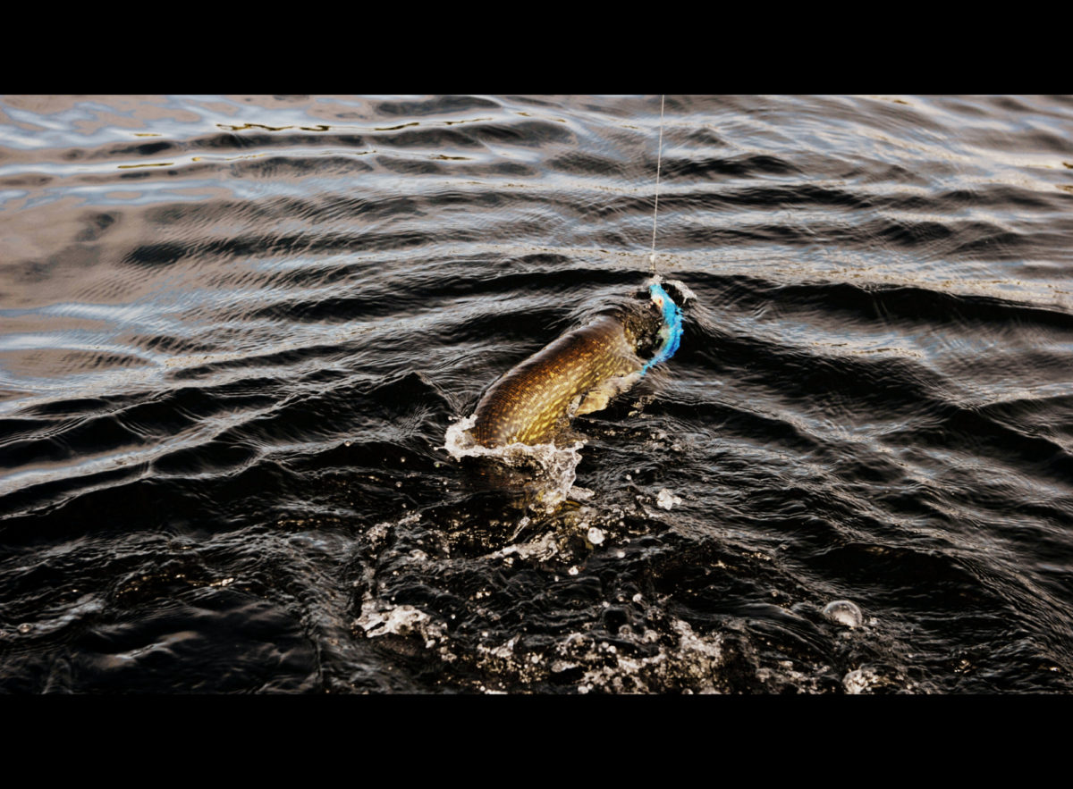 Mc Mc Mc rubbbeeerrrr :-) + litt dansk kunst.