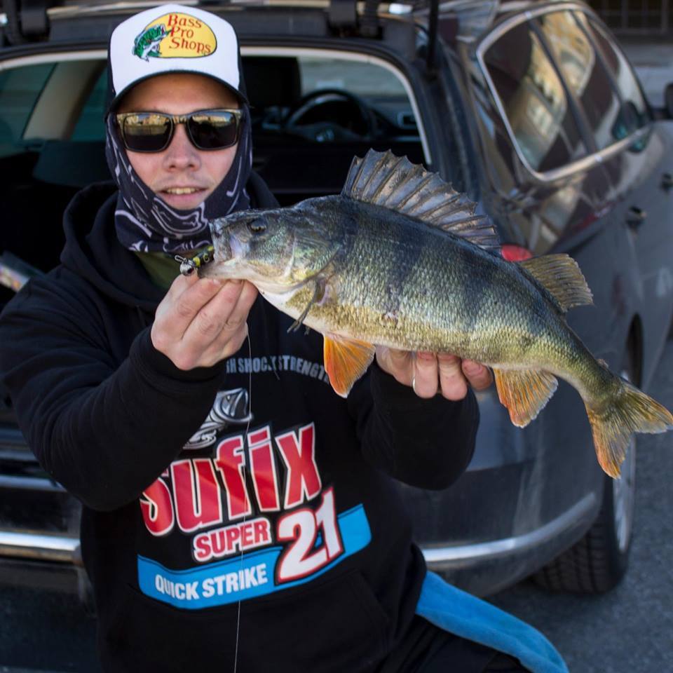 Vårfiske på stor abborre av Martin Rees.