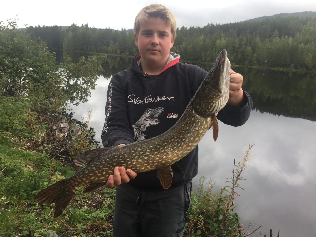 Tore Fugleåsen melder inn to gjedder