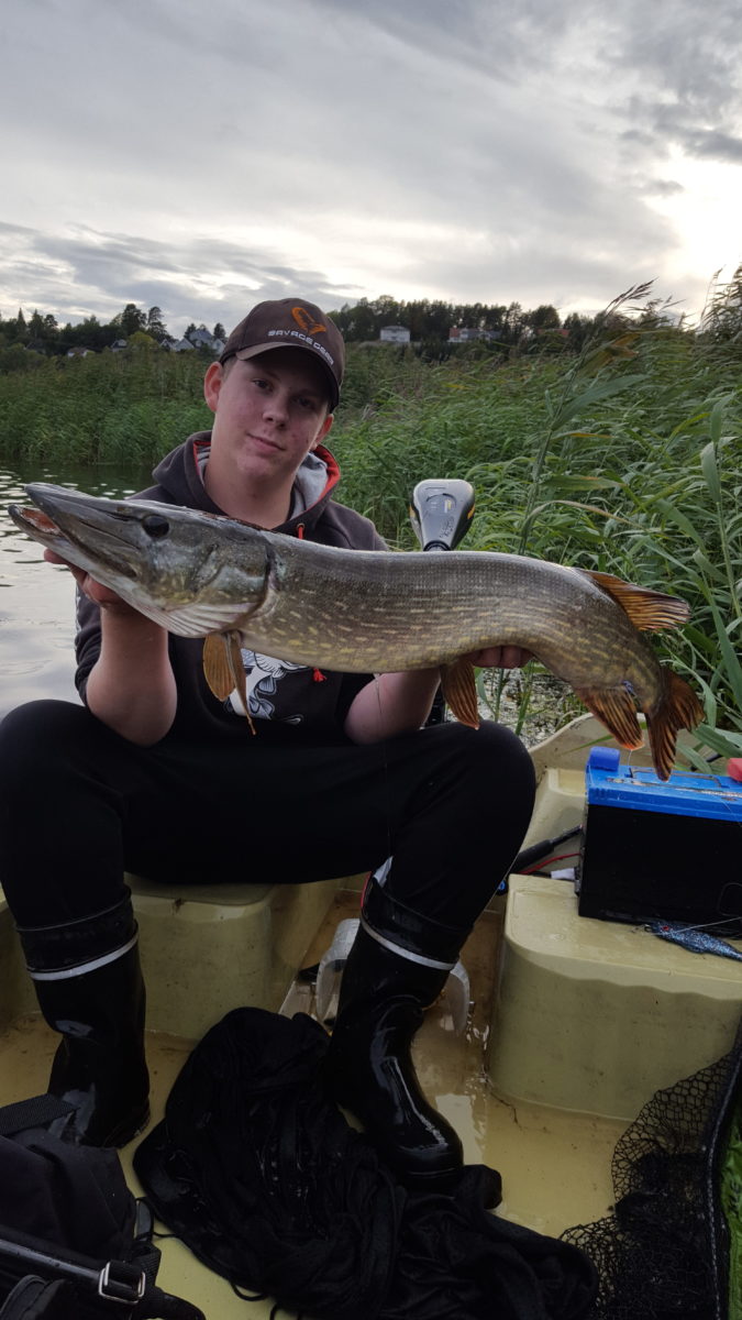 Glenn Hansen melder inn 5+ fisk!