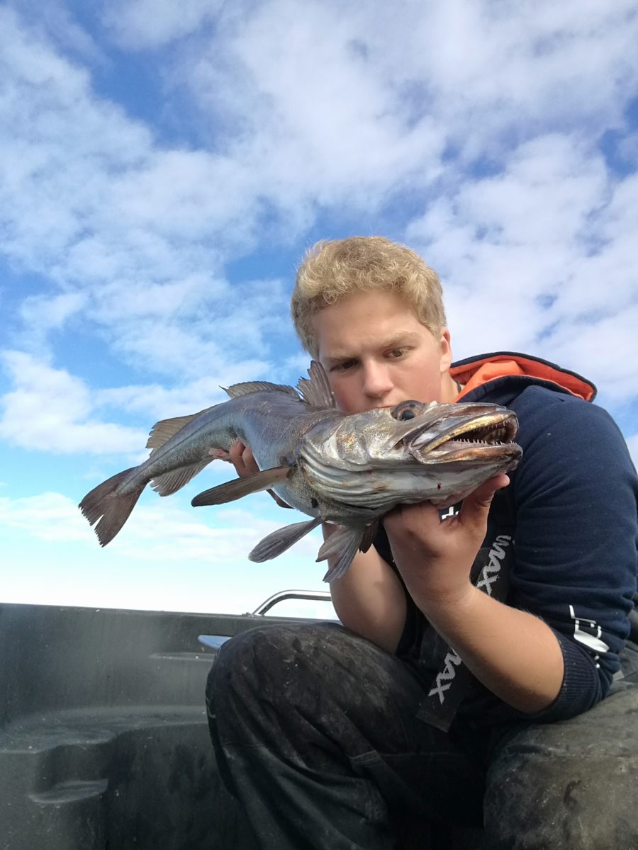 Rapport fra lysingfiske – Daniel Andersen