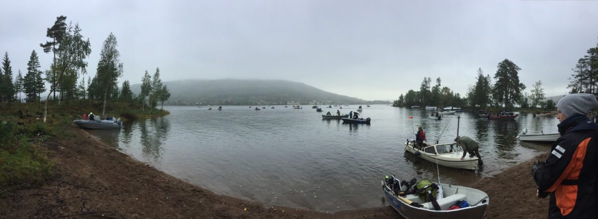 Konkurranser er morro! Uansett om man satser knallhardt, satser sånn passe eller bare tar det som en tur. (team colibri sin rapport fra NM)