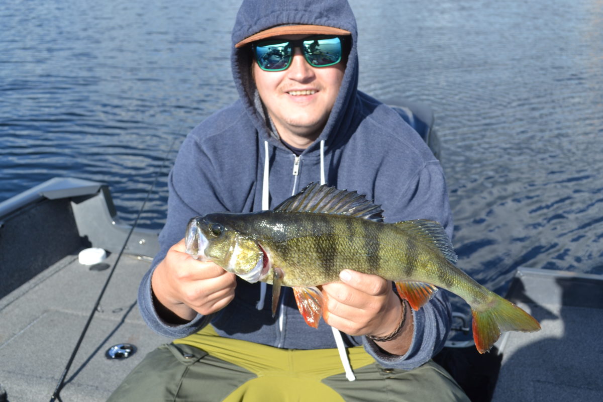 Olav A. Melgård med ny innmelding!