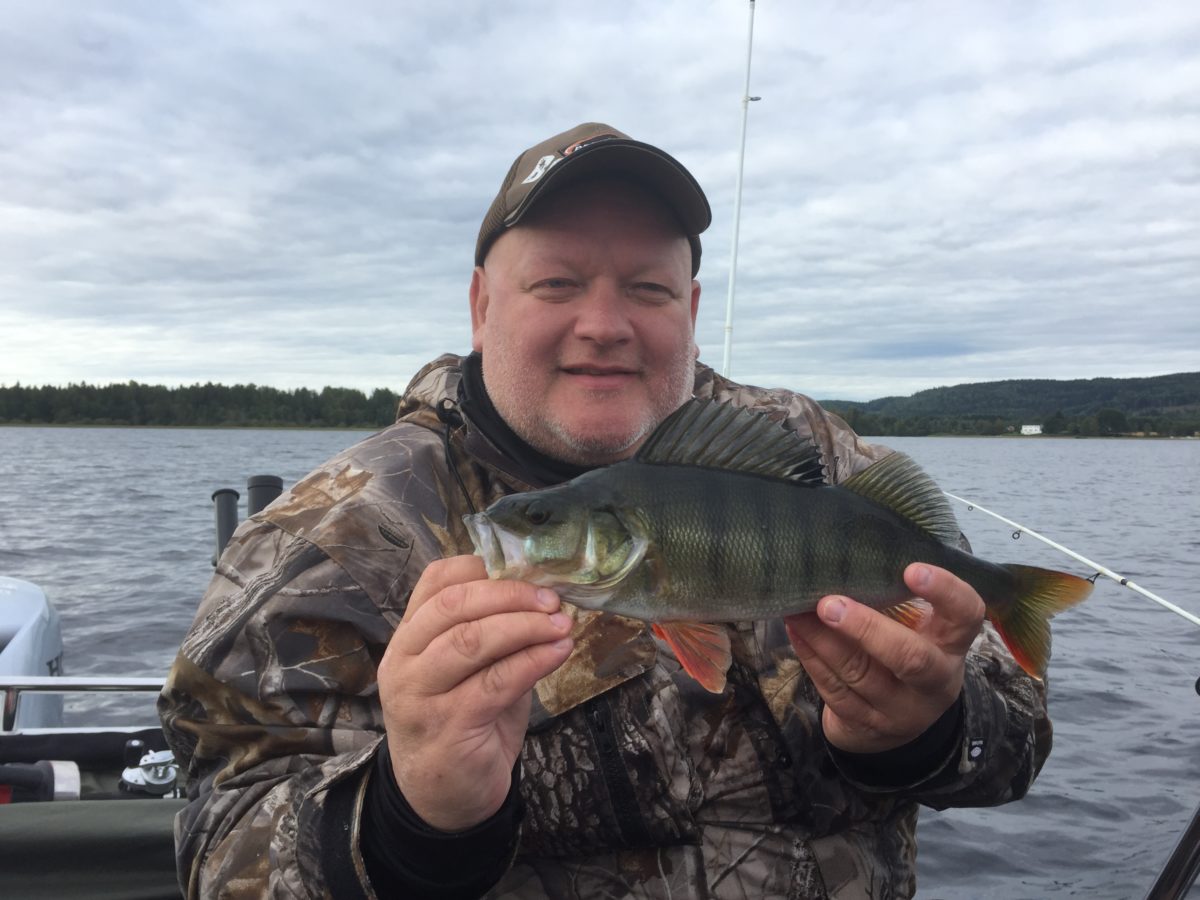 Per-Rune Holmøy med ny innmelding!