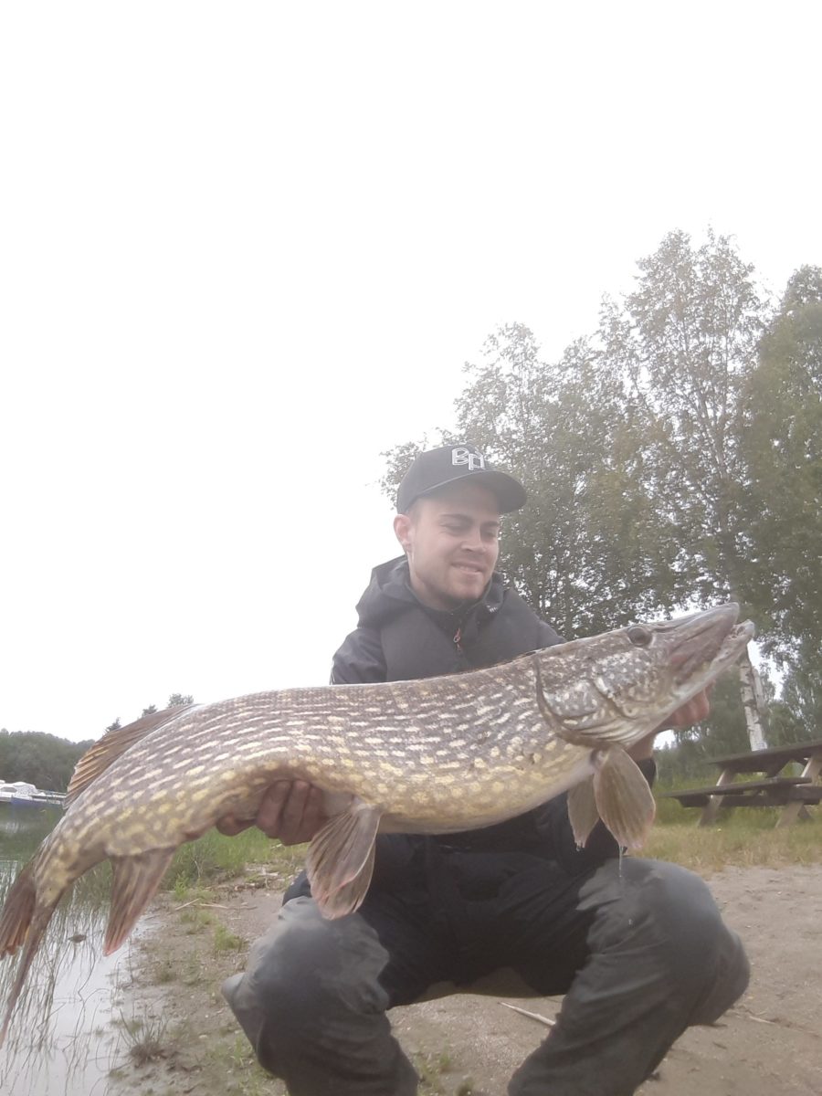 Stian S. Reigstad med ny innmelding!