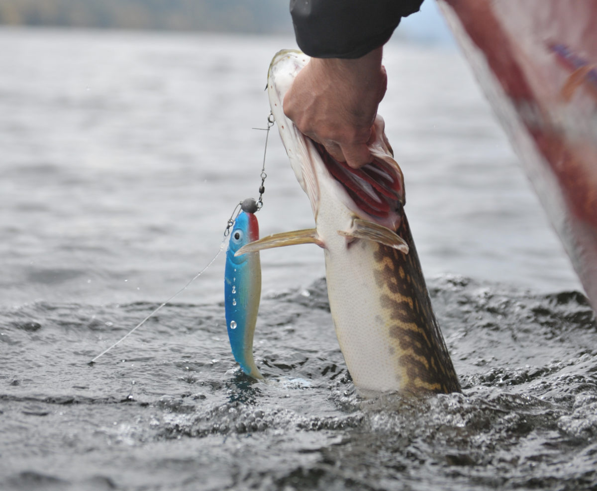11 fisk i ene båten, nullfisk i den andre.