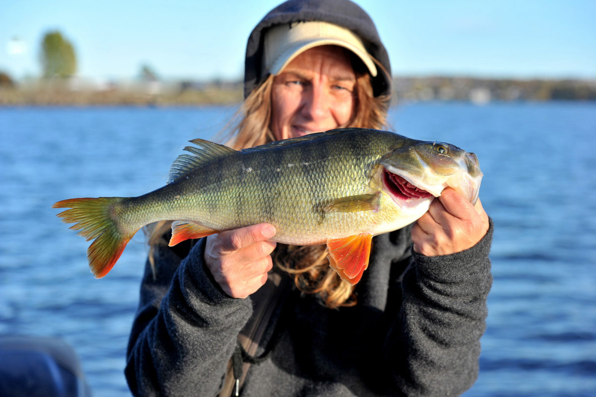 Kristin Roos Aas melder inn ny kilos abbor!!