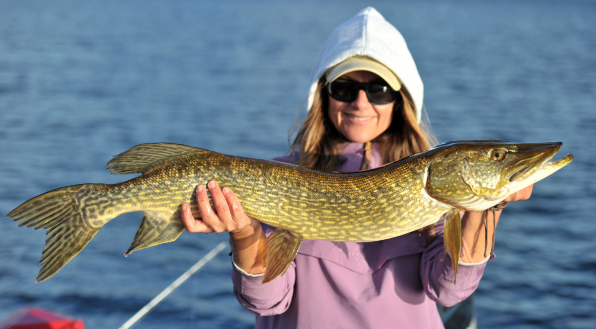 4+ fiks på Kristin Roos Aas!
