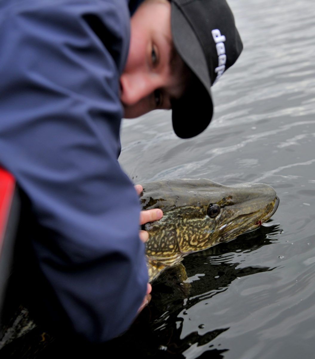Markus Taaje med ny innmelding!