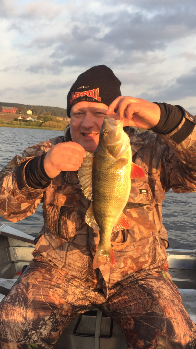 Per Rune Holmøy melder inn en virkelig fin abbor!