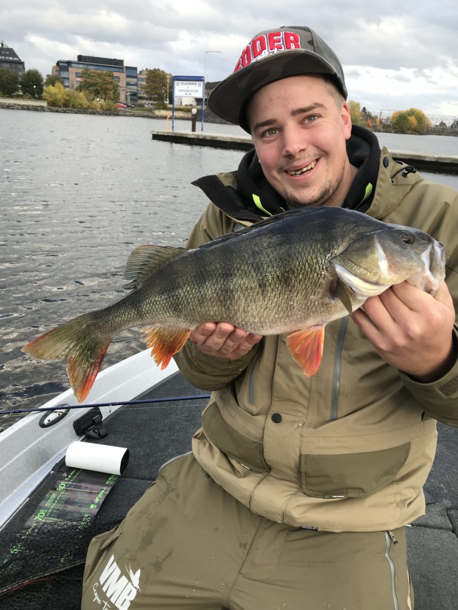 Atle 	Løvås melder inn en abbor på halvannen kilo!