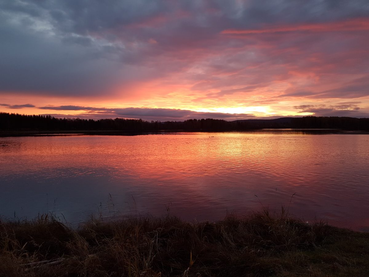Grisefeber med någå attåt, Del 2.