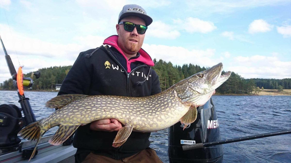 Høst fiske er i gang!- Rapport av Raymond Svendsen
