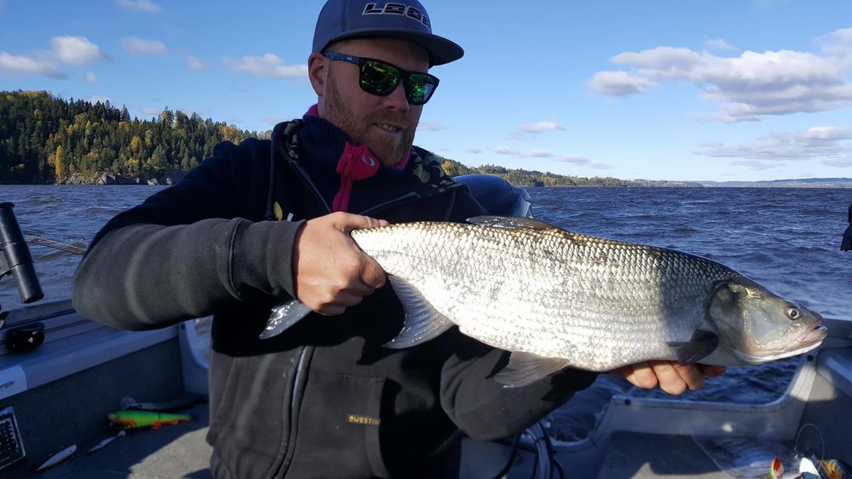 En fiskehelg med asp smak – Raymond Svendsen