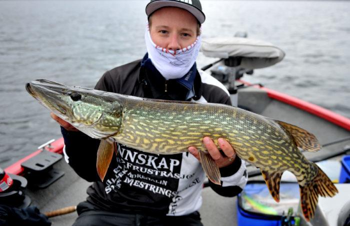 Rick Nakken melder inn to gjedder