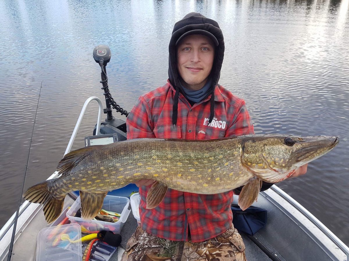 Christoffer Askheim melder inn ei fin gjedde!