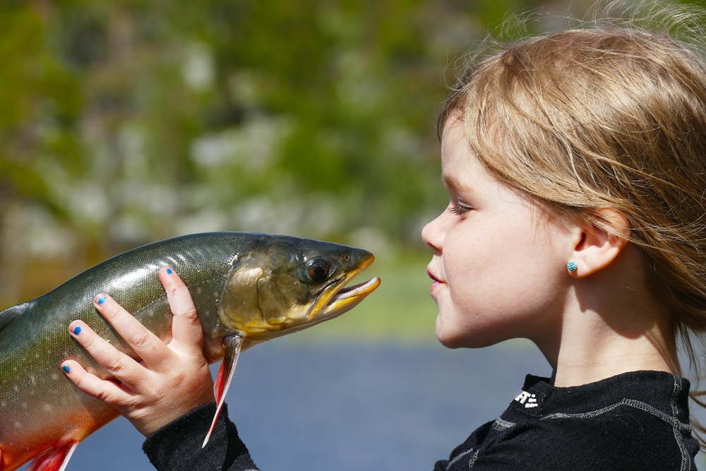 UKESTUR TIL FEMUNDSMARKA (En fantastisk rapport fra Cindy og Kent)  MÅ LESES OG BILDENE MÅ SES.