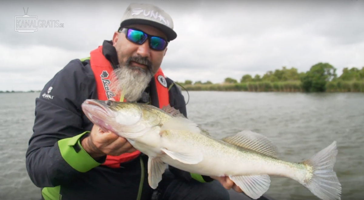 Gunki TV – Dutch Zander Fishing – Fish Spotting