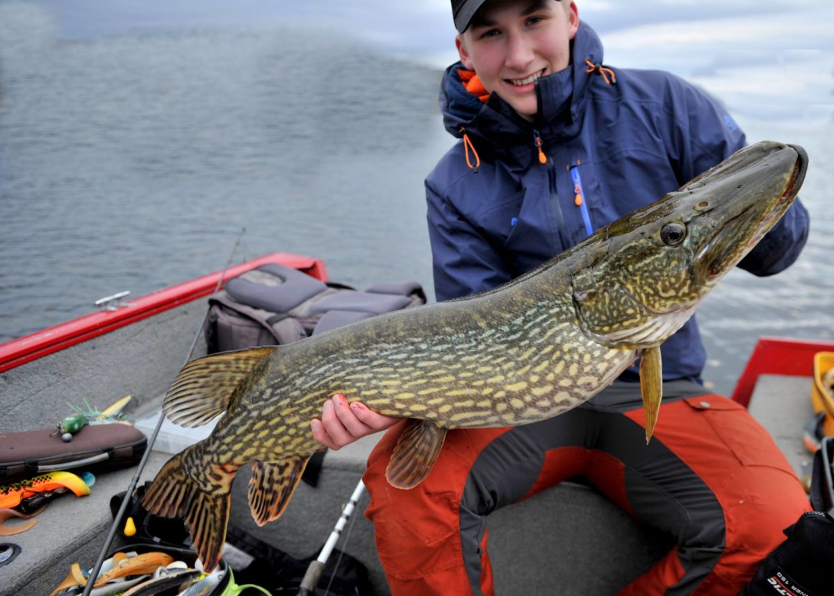 NY PB ble det i dag. (søndag 15.10.2017) Gjedde med attitud…………