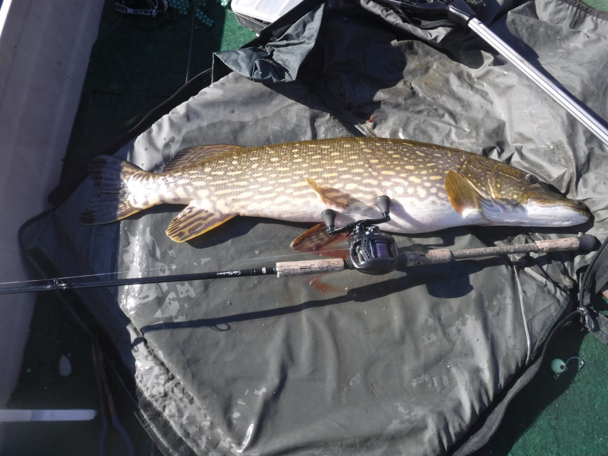 Morten Oppsahl med ny innmelding!