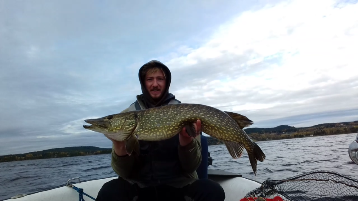 Kristoffer Enger med ny innmelding!