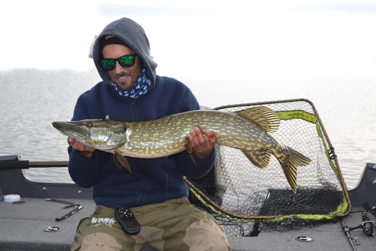 Anders Kurud med ny innmelding!