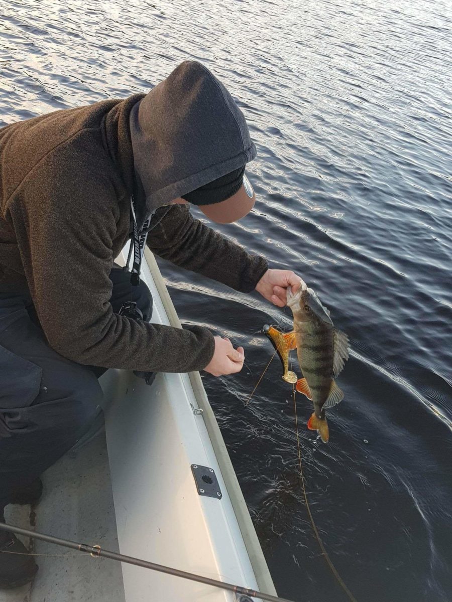 Alexander Nafstad med ny innmelding!