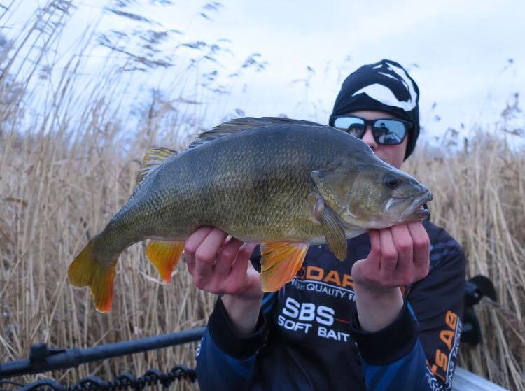 Helt JÄVLA underbart! 2+ abbor.