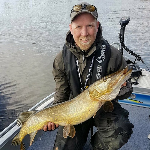 JEG SLÅR ET SLAG FOR GJEDDA JEG. LA DET BLI DIN ART I 2018.