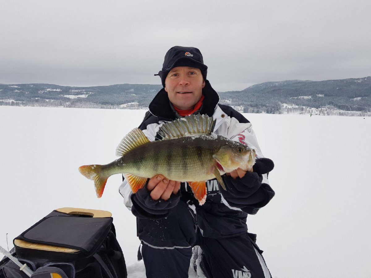 Slik ser en 1.250 kg øbbør ut, tikket det inn på en melding fra Oddvar Henriksen.