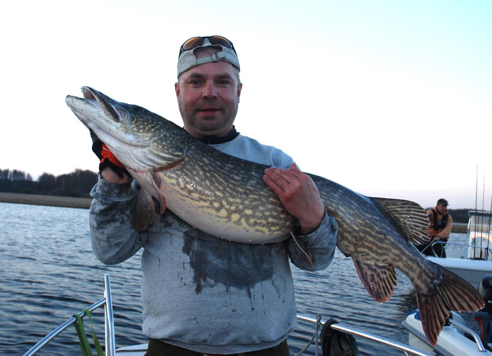 Da kommer en ny Hemsen film der jeg snakker om Gummi og bruk av stingere.