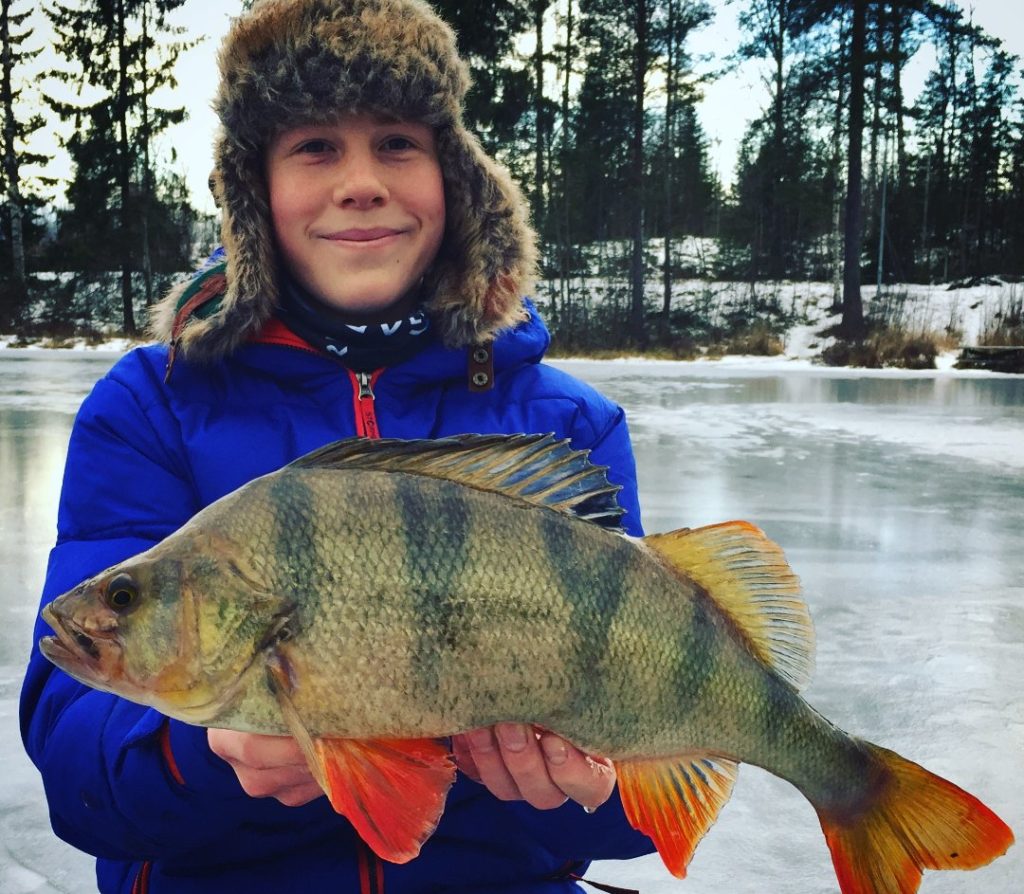 Mitt navn er Eirik Alme Olsen og jeg er ny her i pikewallis.
