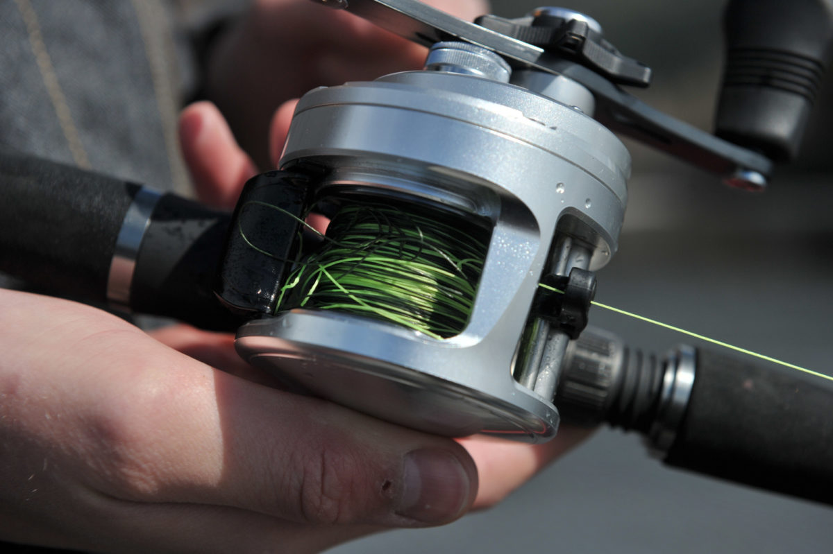 En ny tur etter gjedda i isøde. Tre små kara og Kristin.