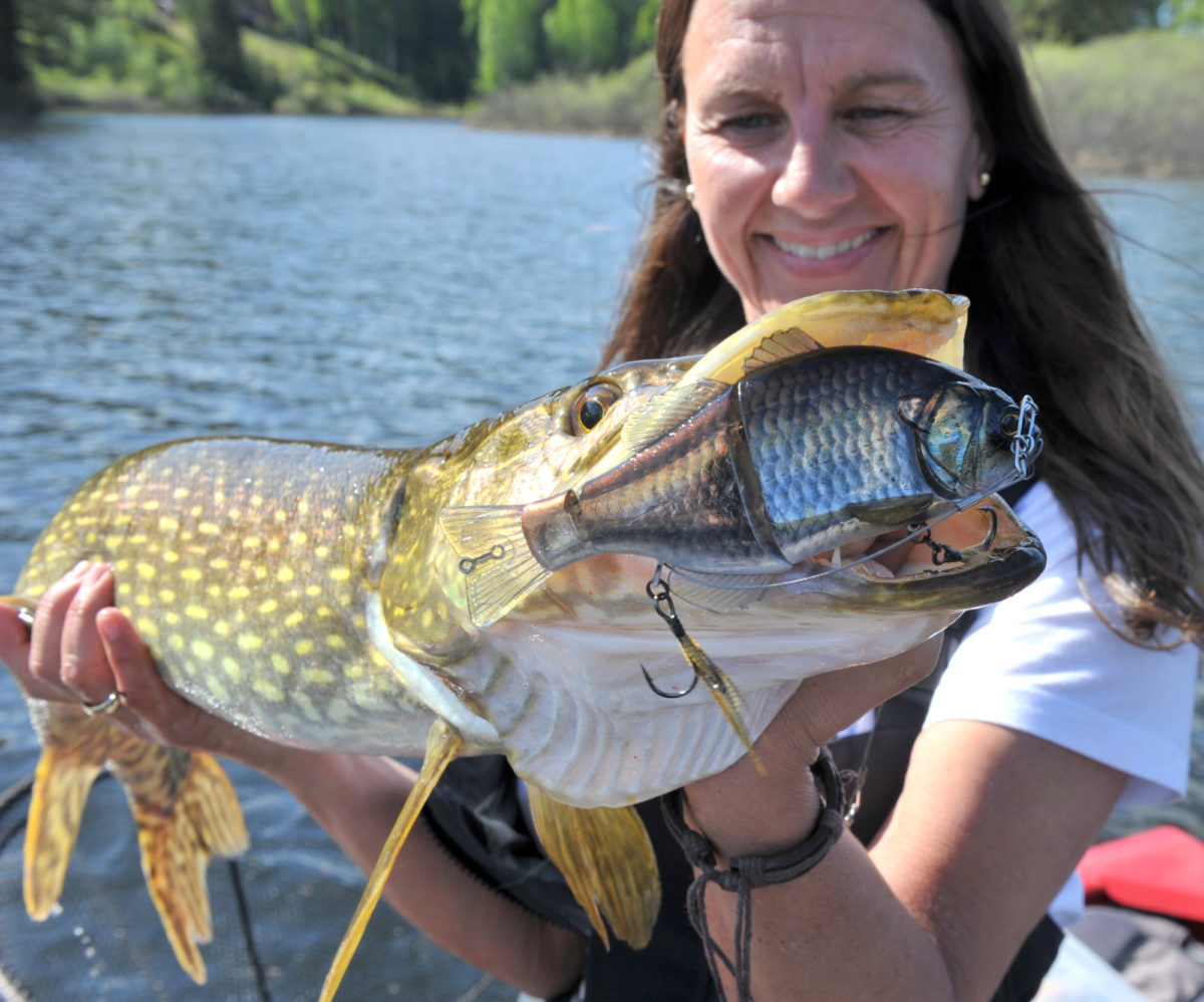 Litt fra de siste dagers fiske.