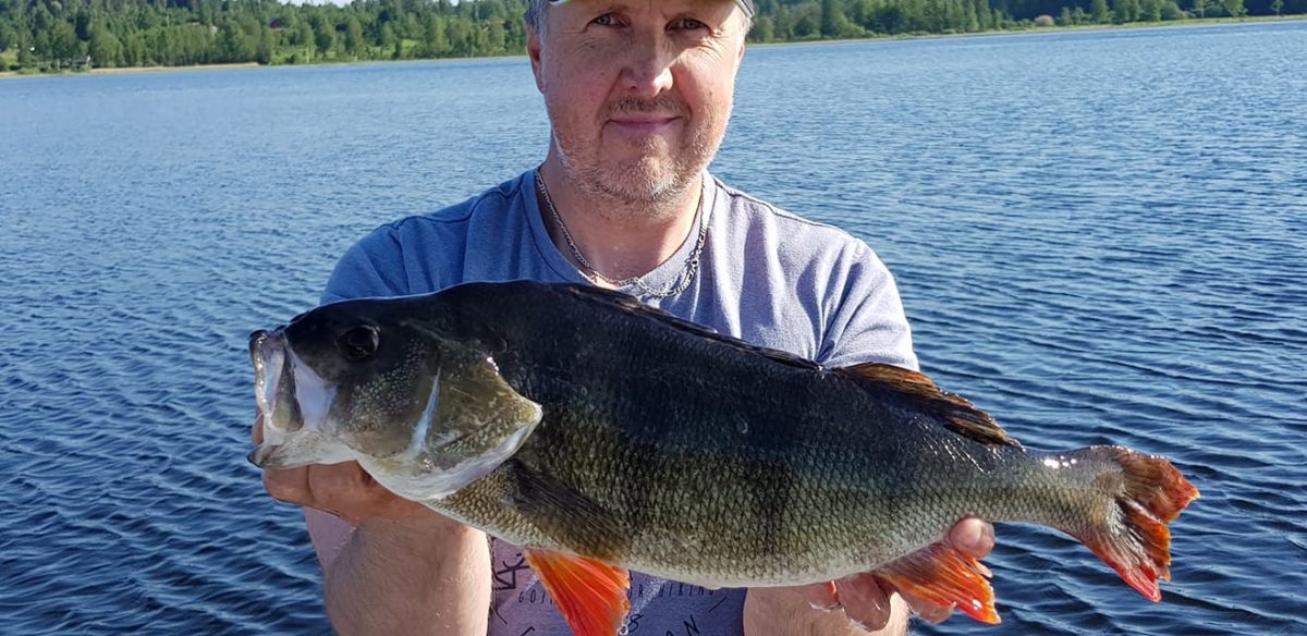 En halv meter med abbor på Jens :-)