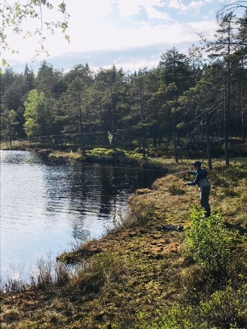 To dagers ørretfiske i skauen
