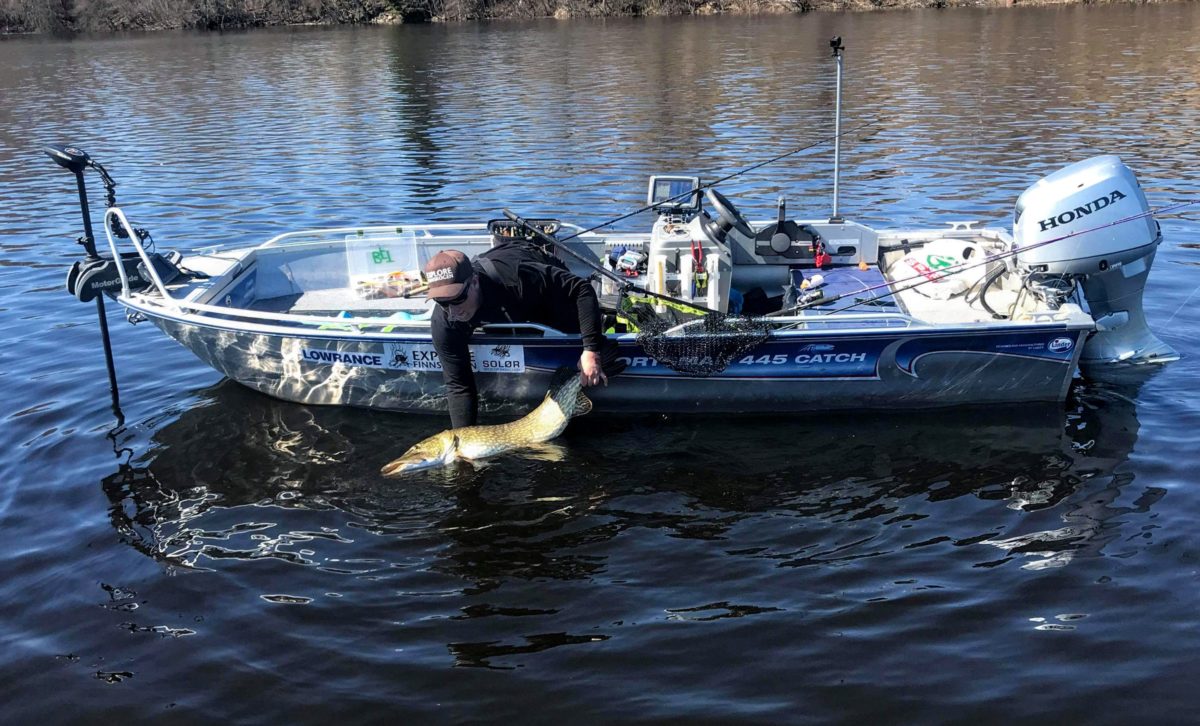 Endelig kom våren og gjeddefiske i åpent vann!