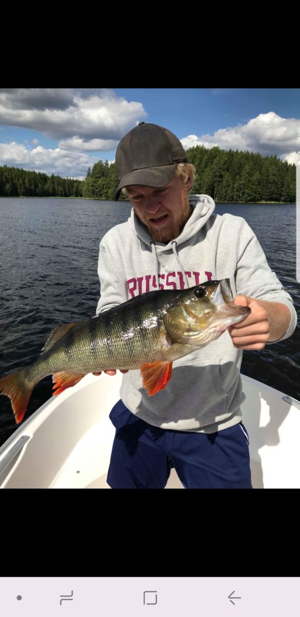 Velkommen inn i abbor konkurransen Sæter