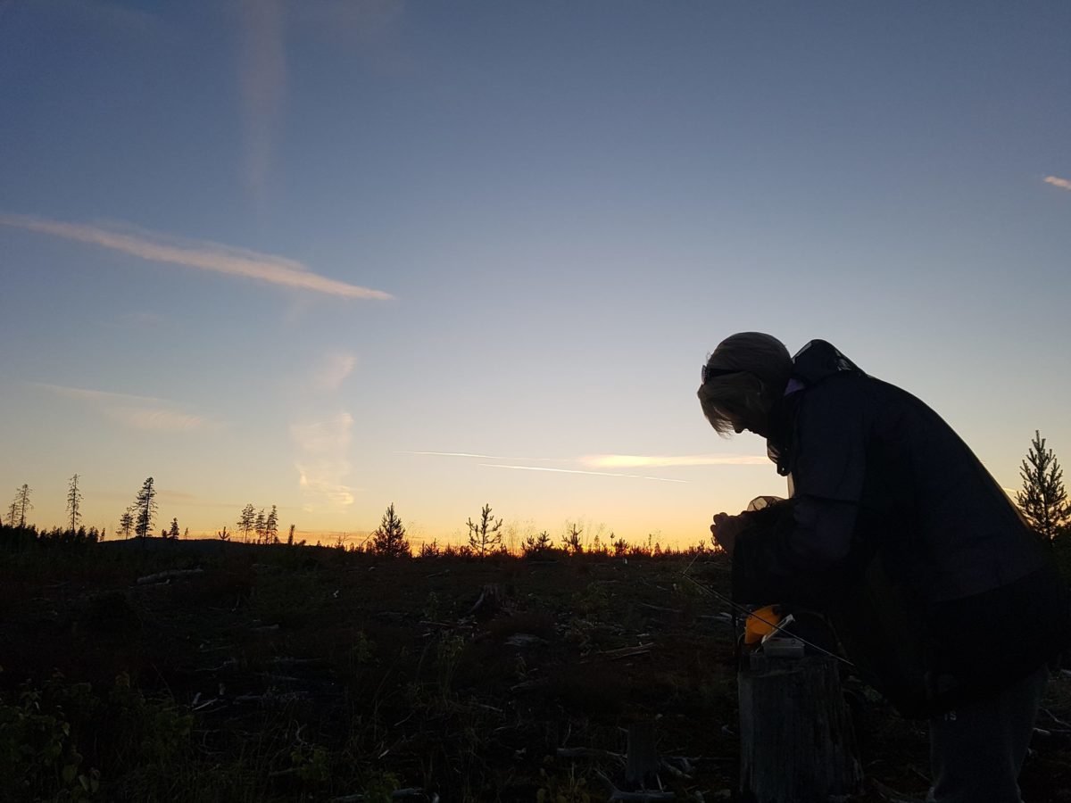 Fiske i våler. De gjør en fantastisk jobb !!