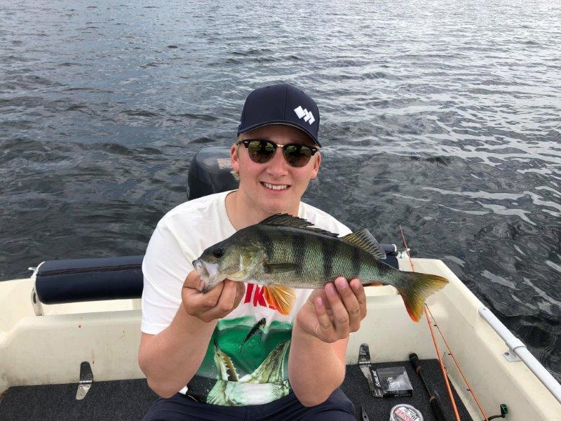 Årets første rene abbor satsing, for en dag!