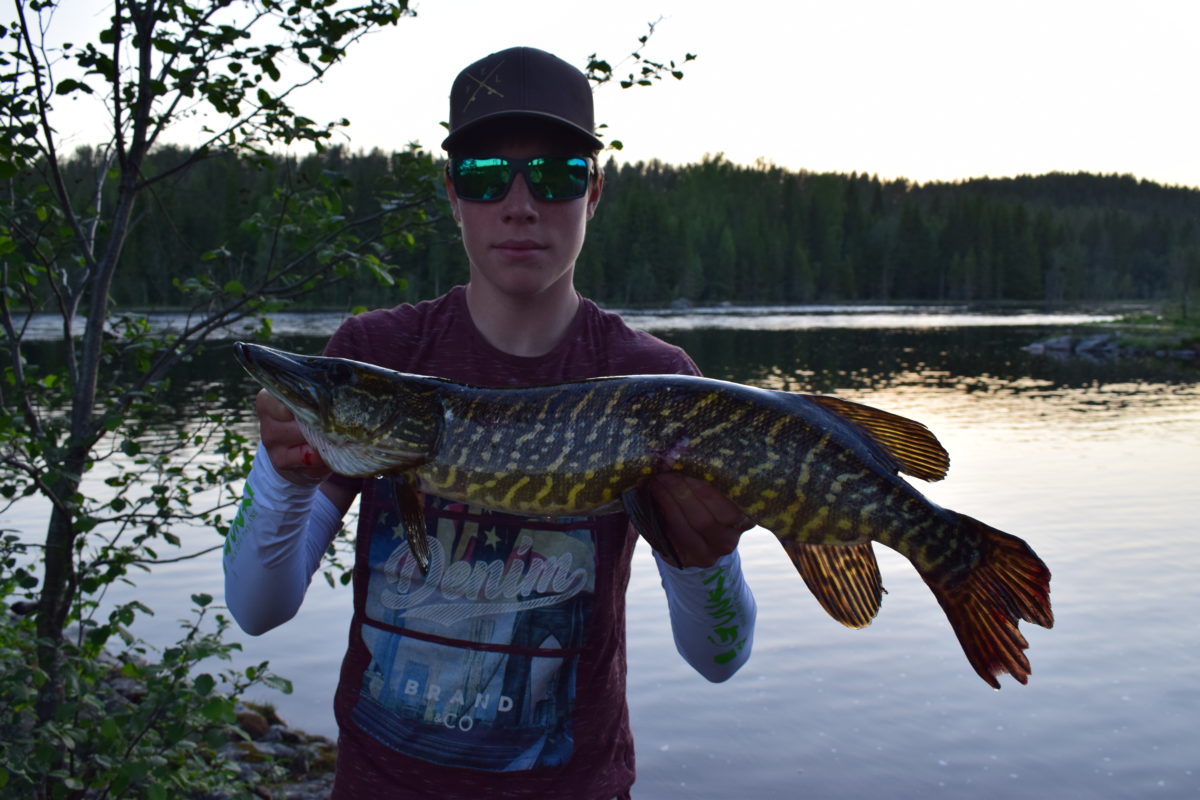 Kveldsfiske etter gjedde(Eirik)