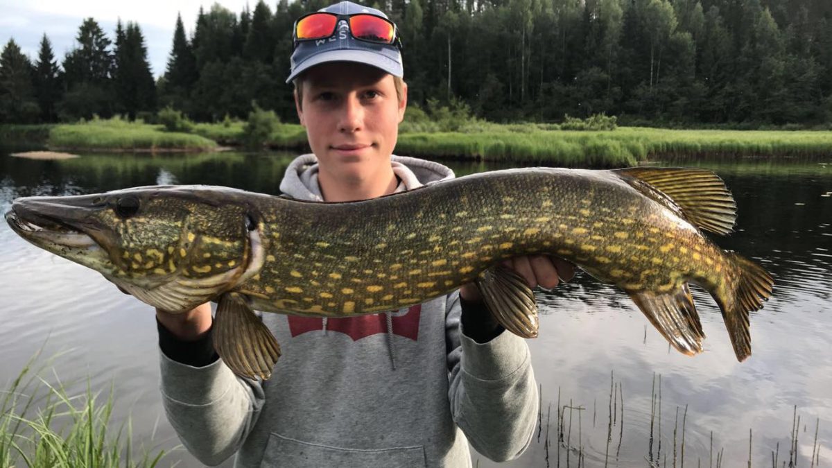 kveldsfiske med weedless.