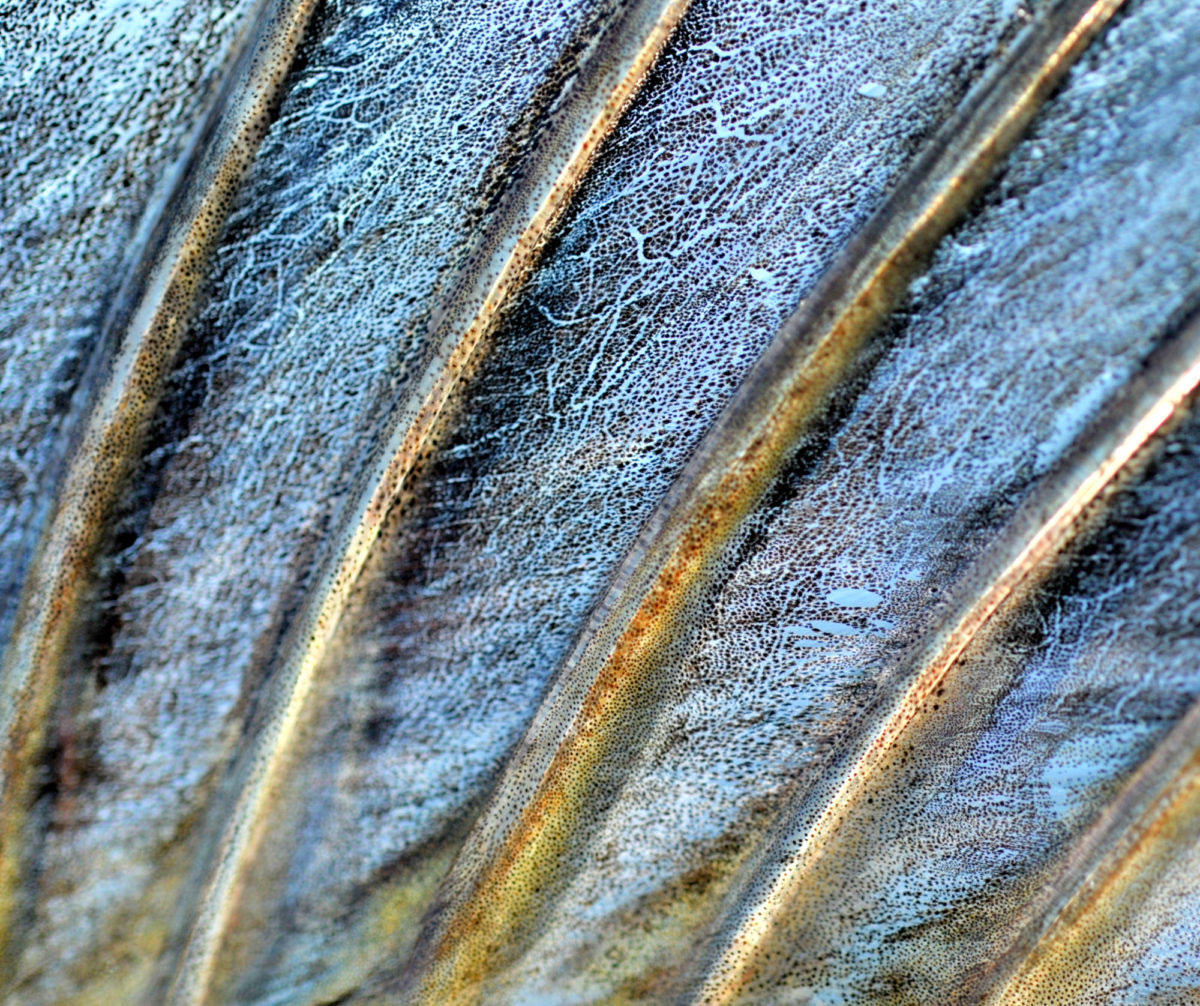 Erik Walmann inn på en 6. plass