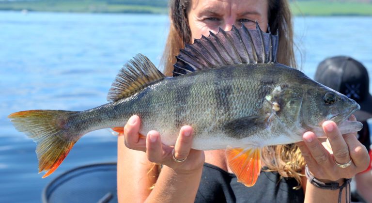 9 abborer inn for Kristin og opp på en 2. plass