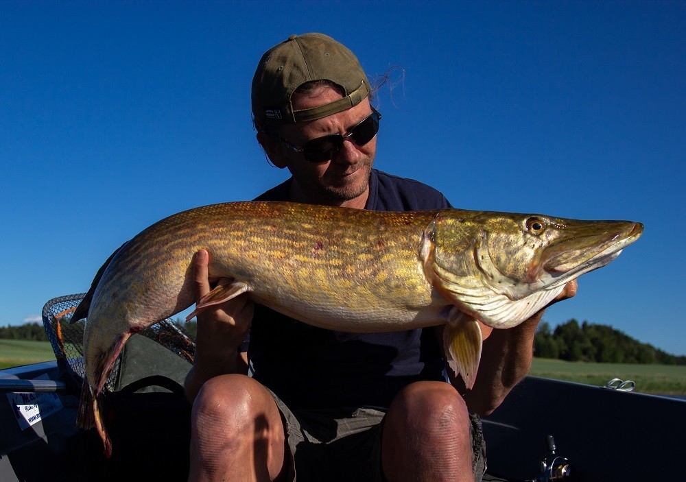 Jørgen er viktig, viktigere en han selv er klar over :-) Inn med gjedde nummer to.