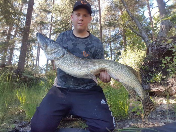 Pikewallisshadd og Svartzonker mc pike skaper gode fiskeminner. En rapport fra Glenn Hansen.