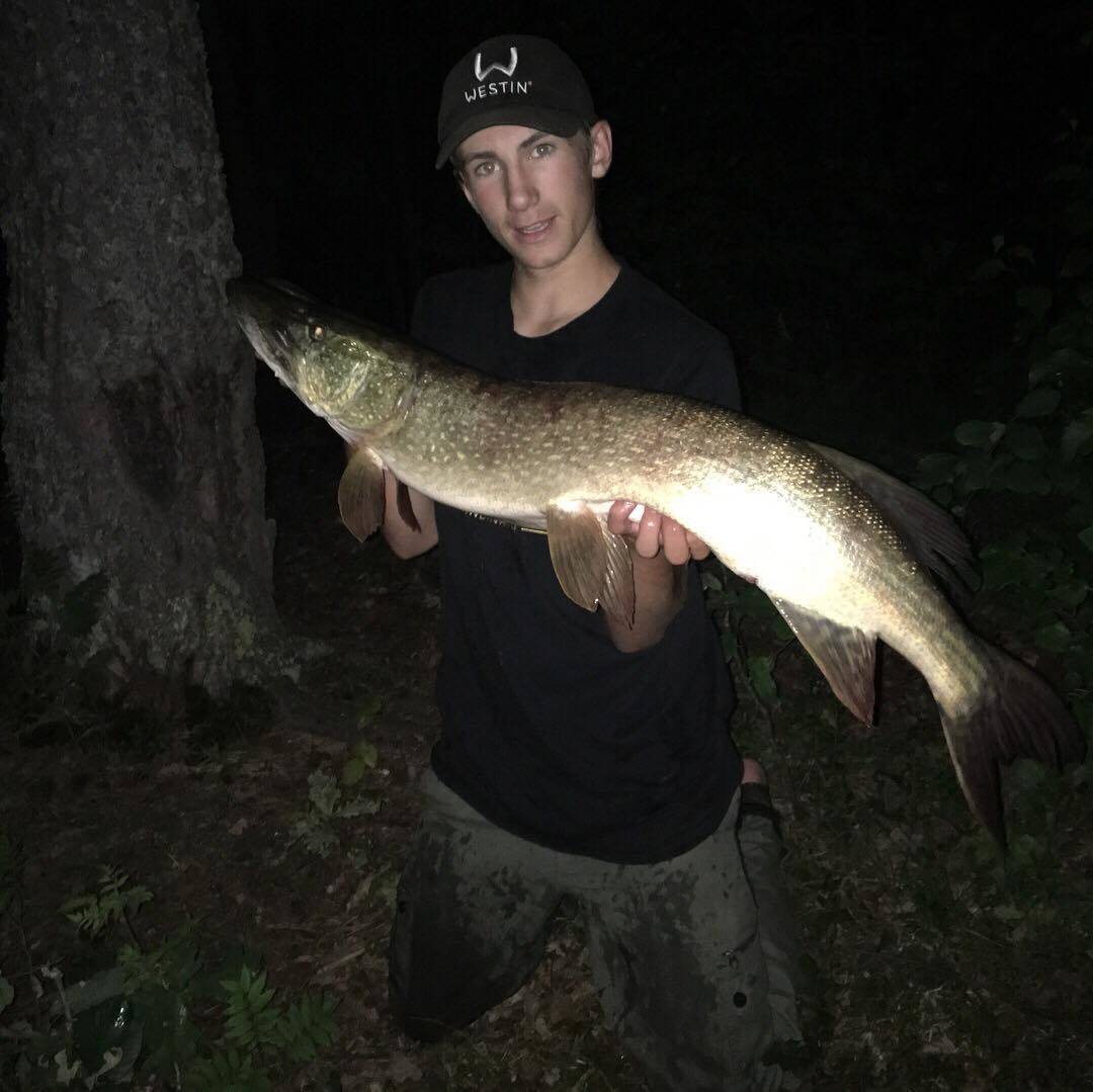 Nattmeite etter gjedda!