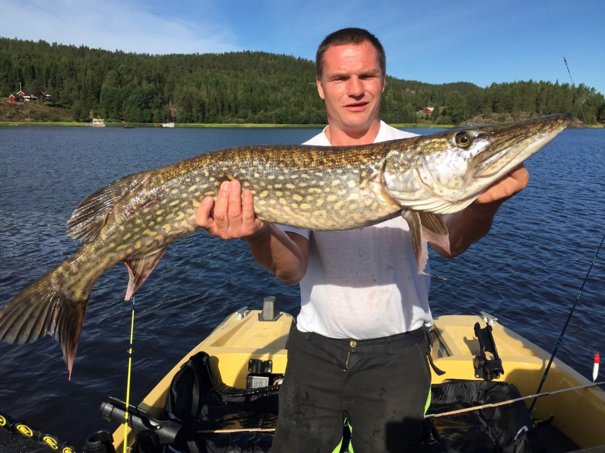 Lunder på 5. plass. + topp 10.